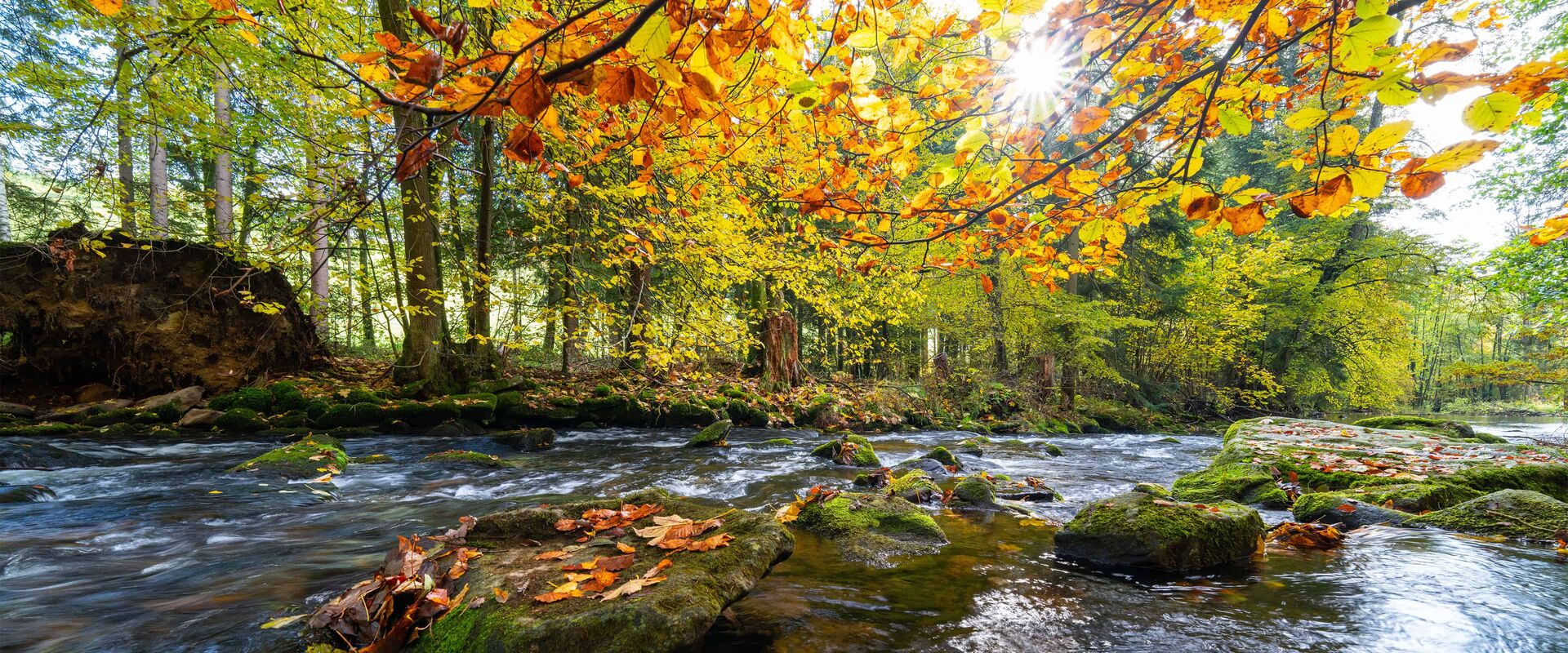 Freizeittipps für den Bayerischen Wald
