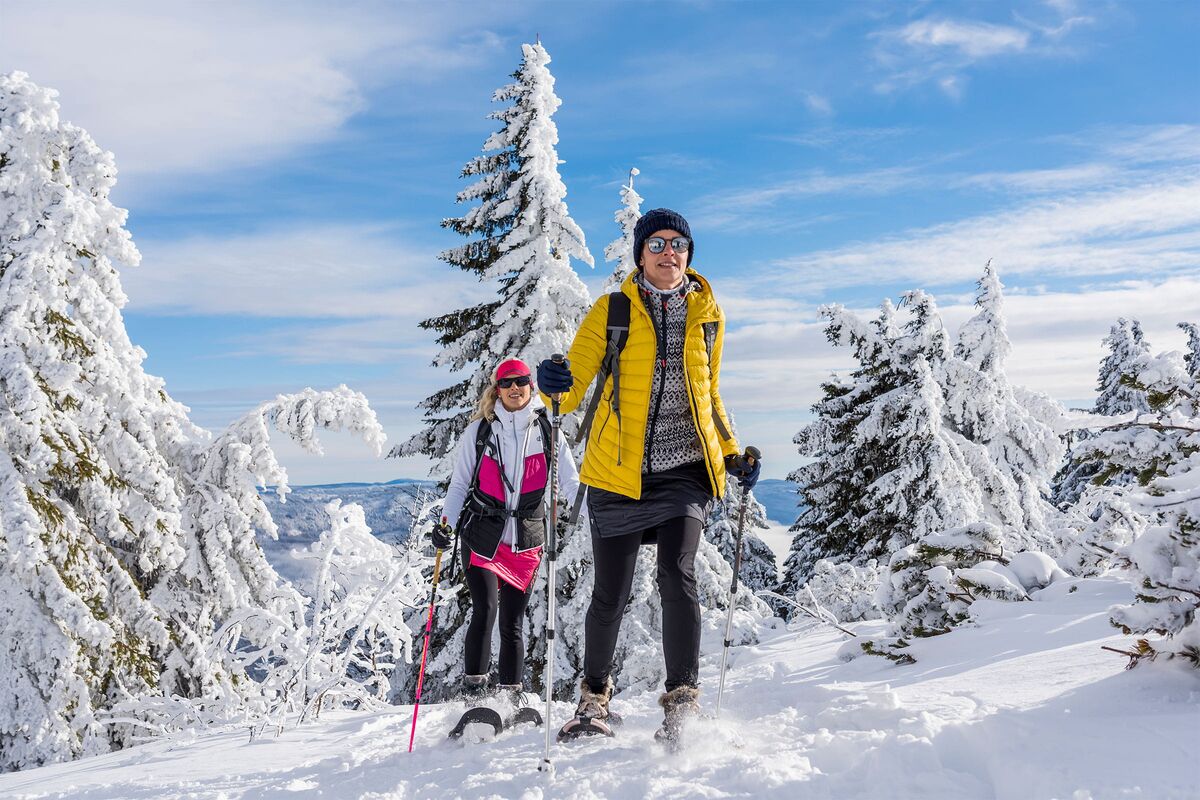 Skifahren, Snowboarden und Rodeln im Skigebiete in Langfurth-Schöfweg und Steinberg