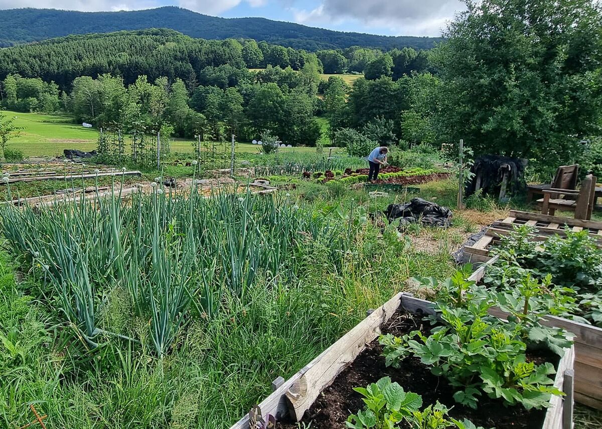 Nachhaltigem Eigenanbau von Gemüse und Kräutern