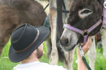 Führungskräfte-Coaching, Teambuilding-Seminar oder Betriebsausflug