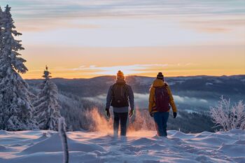 Winterwandern in der Region Donau-Wald
