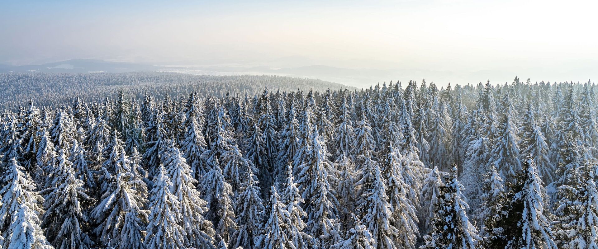 Winterurlaub im Landgasthof Kammbräu