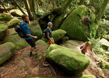 Erlebniswanderungen bei Saldenburg