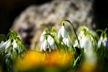 Angebot: Frühlingshafte Ostertage