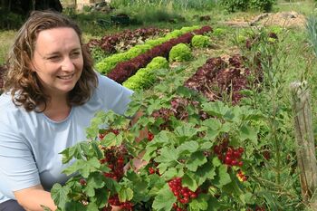 Sigrid Kamm bei der Beerenernte auf dem eigenen Acker
