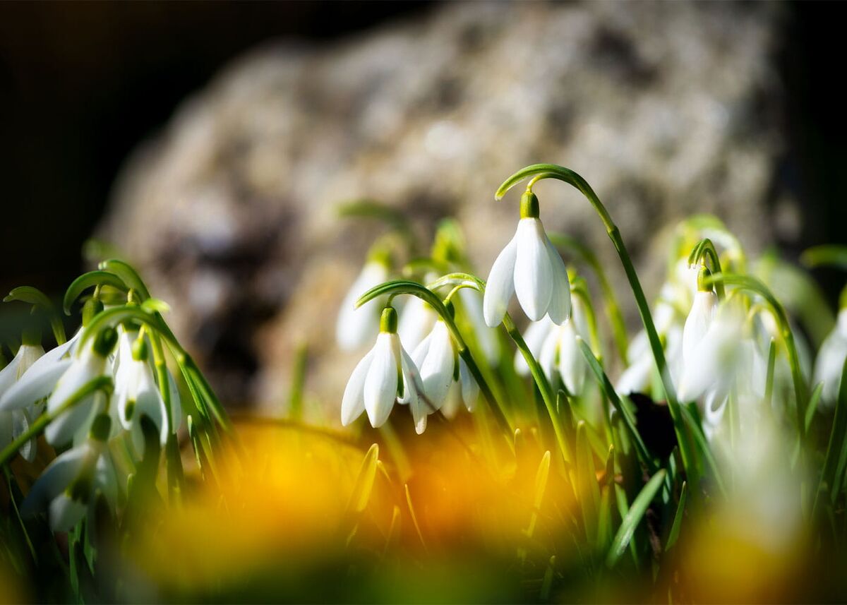 Übernachtungsangebot: Frühlingshafte Osterzeit