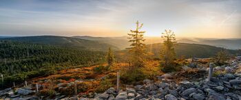 Wandern rund um Zenting oder Fernwanderweg Goldsteig