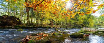 Freizeittipps für den Bayerischen Wald