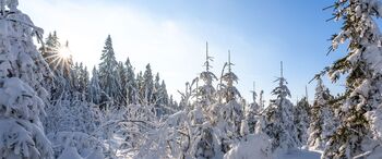 Winterurlaub im Landgasthof Kammbräu