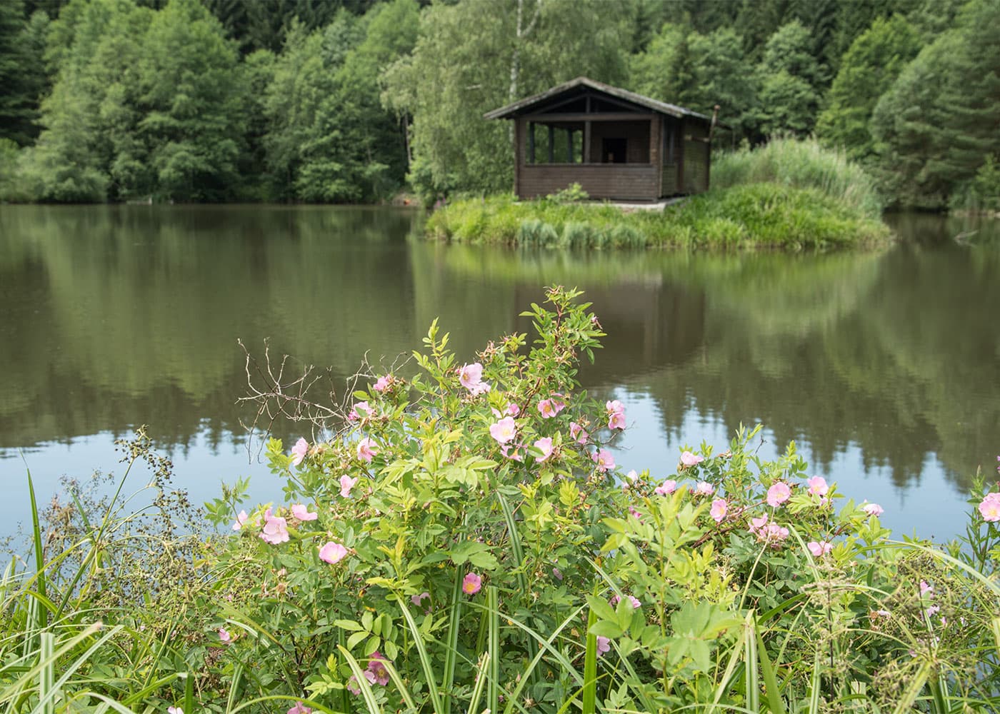 Eigener Fischweiher