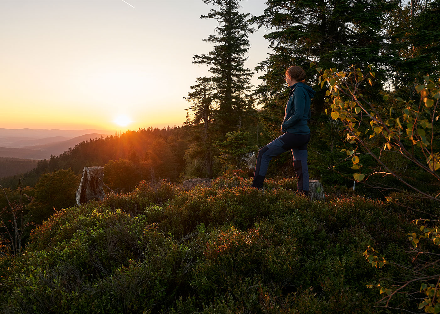 Nordic Walking bei Grattersdorf in der Region Sonnenwald