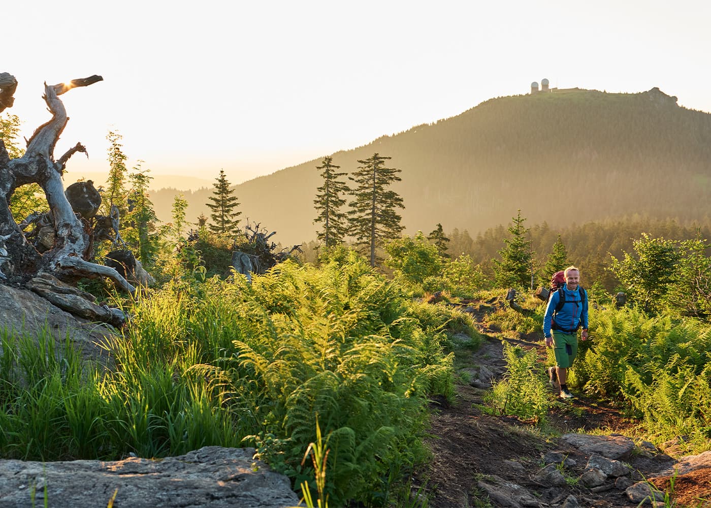 Arbergebiet mit Großem Arber, Großem Arbersee und Haus der Wildnis samt Tierfreigelände-Rundweg